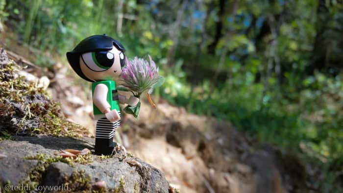 Buttercup in the woods - Teddi Deppner @teddi_toyworld