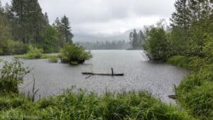 Manzanita Lake downpour