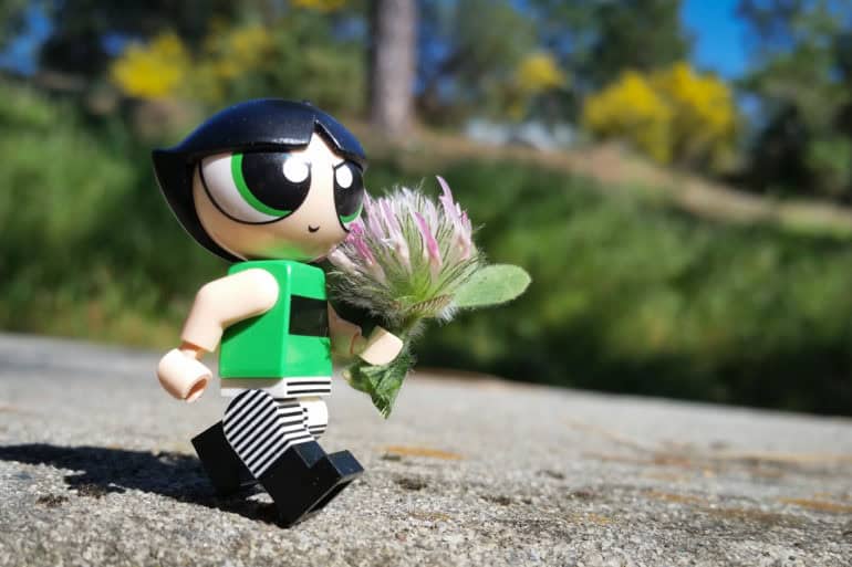 Buttercup on a mission - Teddi Deppner @teddi_toyworld