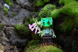 Flowers and moss - @teddi_toyworld