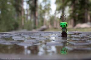 Reflection in the forest - @teddi_toyworld