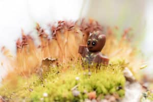 Baby Groot in the moss - @teddi_toyworld