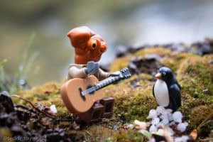 Ackchu serenades the penguin - @teddi_toyworld