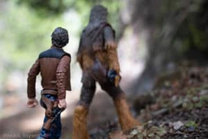 Han and Chewie in the woods - @teddi_toyworld