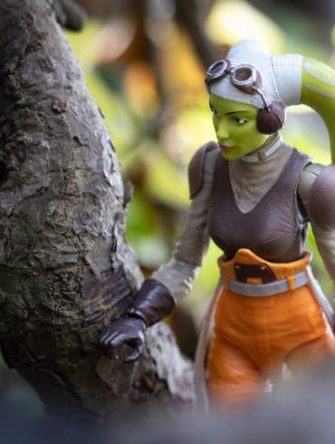 Featured Image: Hera in the woods - @teddi_toyworld