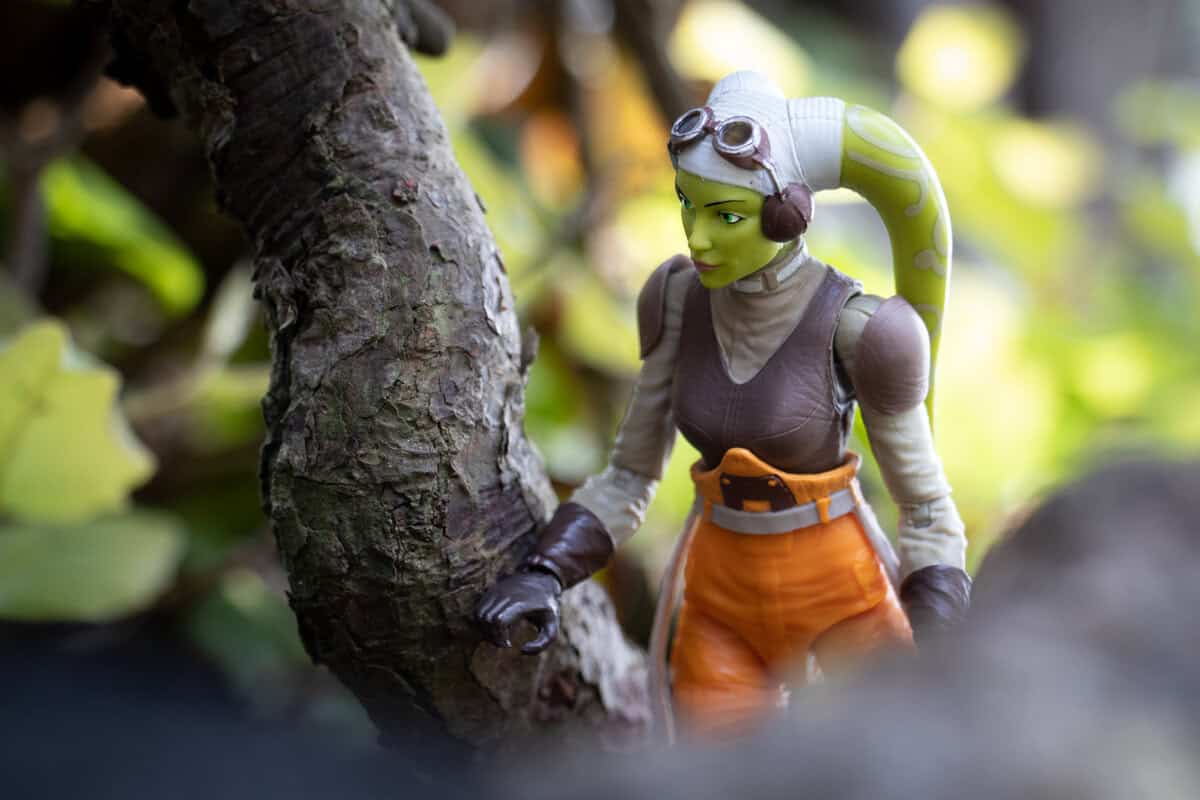 Featured Image: Hera in the woods - @teddi_toyworld